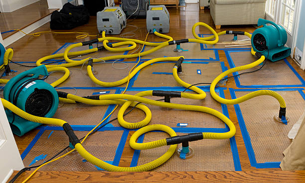 Professional Burst Pipe Water Damage technician working in Tollhouse, CA